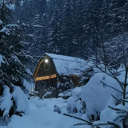 секвойя Chalet