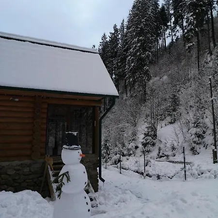 секвойя Chalet *