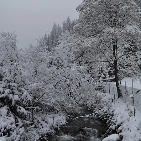 секвойя * Verkhnyaya Bystra
