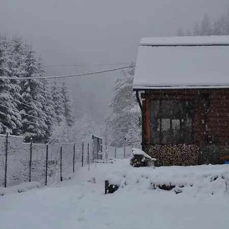 секвойя Chalet Verkhnyaya Bystra