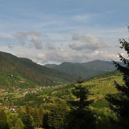 секвойя * Verkhnyaya Bystra