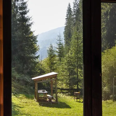 секвойя * Verkhnyaya Bystra