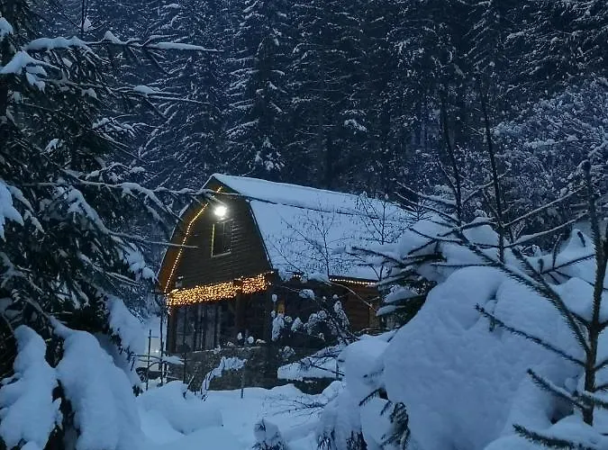секвойя 木屋